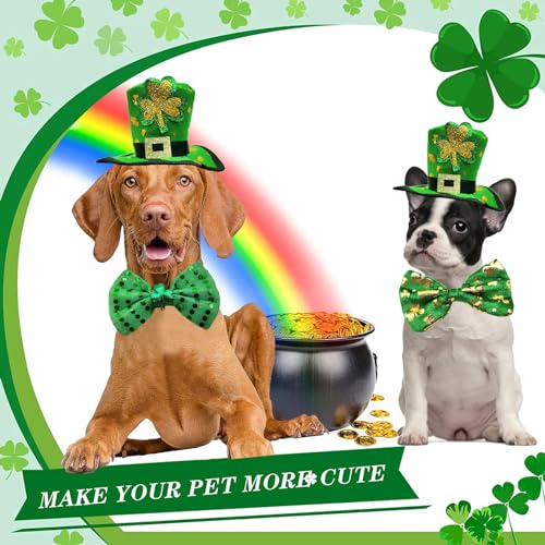 Disfraz St Patrick Día con Sombrero y Corbatas para Perro L miniatura 7
