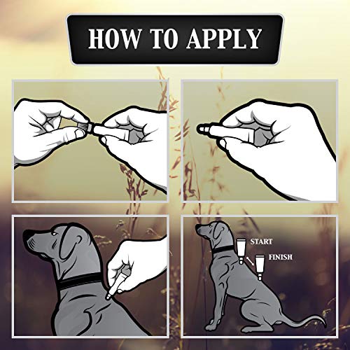 image for Advecta Ultra Flea and Tick Topical Treatment, Flea and Tick Control F