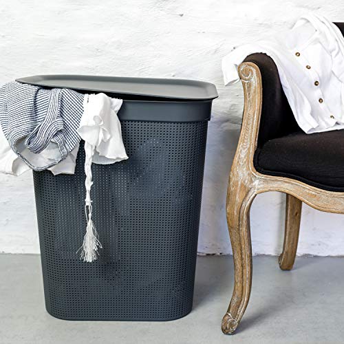 Rotho Brisen Wäschesammler 50l mit Deckel und Griffen, Kunststoff (PP) BPA-frei, anthrazit, 50l (43.1 x 34.0 x 52.9 cm)