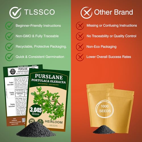 3000+ 𝗨𝗦𝗔 𝗣𝗥𝗘𝗠𝗜𝗨𝗠 Green Purslane Seeds for Planting, 𝗡𝗢𝗡-𝗚𝗠𝗢 Seeds – Fast-Growing, Authentic Flavor – High-Yielding, Heirloom