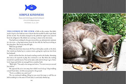 Pawverbs for a Cat Lover's Heart: Inspiring Stories of Feistiness, Friendship, and Fun - Image 8