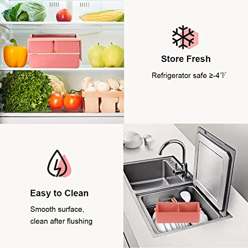 Natraprow Bento Box Adult Lunch Box thumb #4