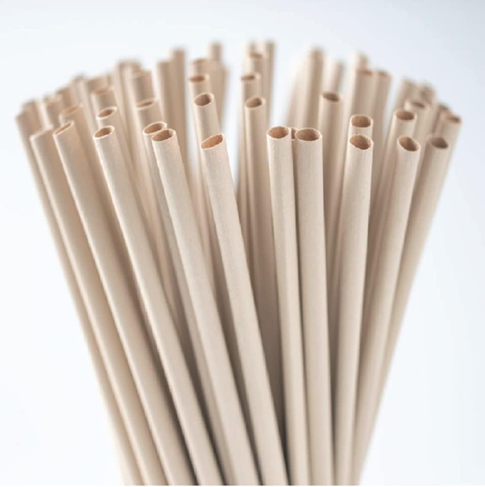 Fanale 250 Pcs (125 x 2 Bags) Macarons Multi Colors Jumbo Smoothie Straws Milkshake Disposable Large Individually Wrapped Straws (12mm Wide X 210mm Long) | CSP-S-1221-MR-BAG X 2