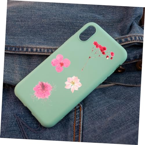 30 piezas flores secas prensadas para decoración DIY miniatura 4
