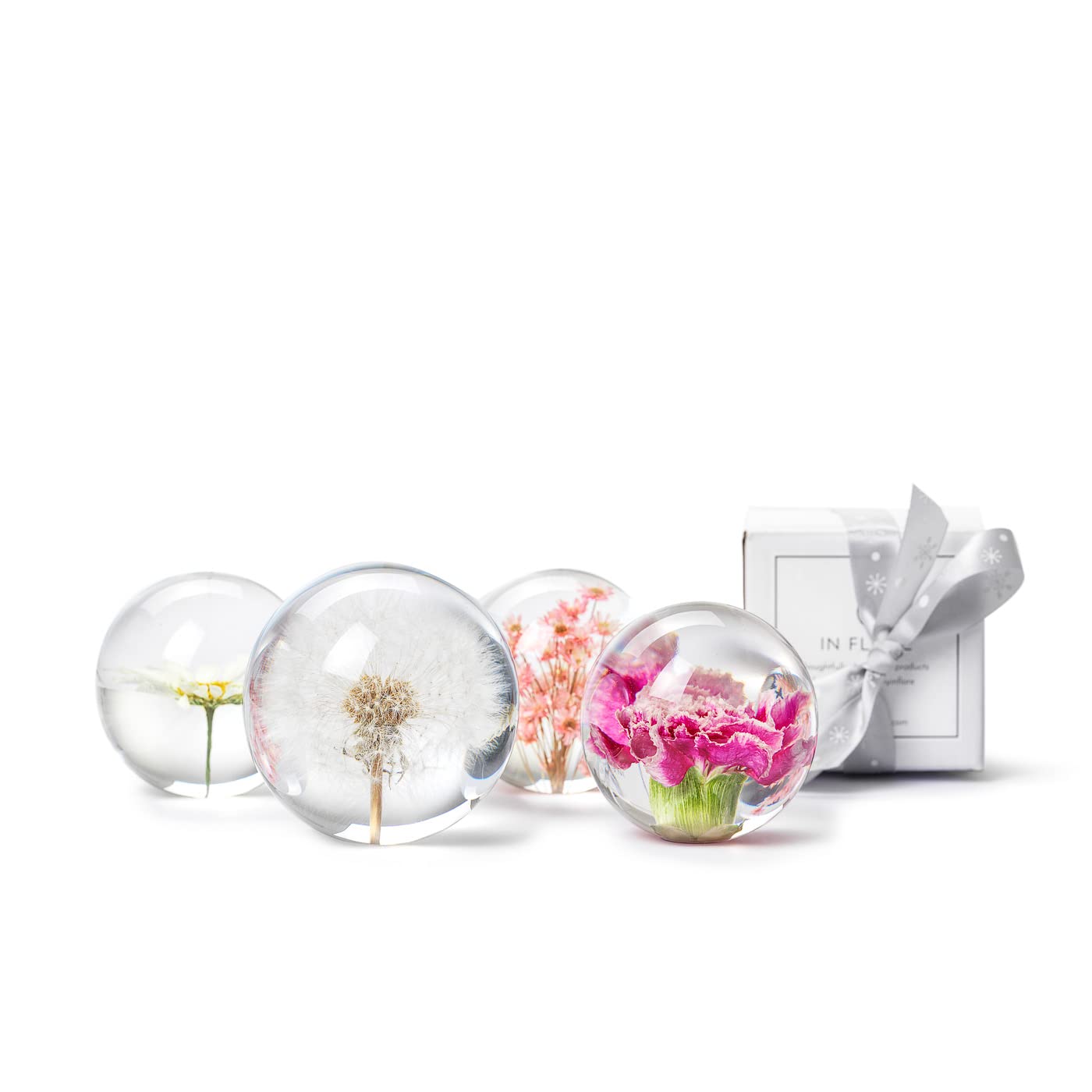 In Flore, Fermacarte a forma di garofano, 7 cm, rosa