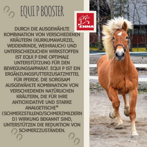 MSM Pferd Equi P Gelenk Booster 30ml – hochdosiert mit Glucosamin Chondroitin MSM Schwefel Vitamin C Bierhefe Kurkuma Spirulina Weidenrinde Weihrauch – Gelenke Sehnen Bewegungsapparat Pferde