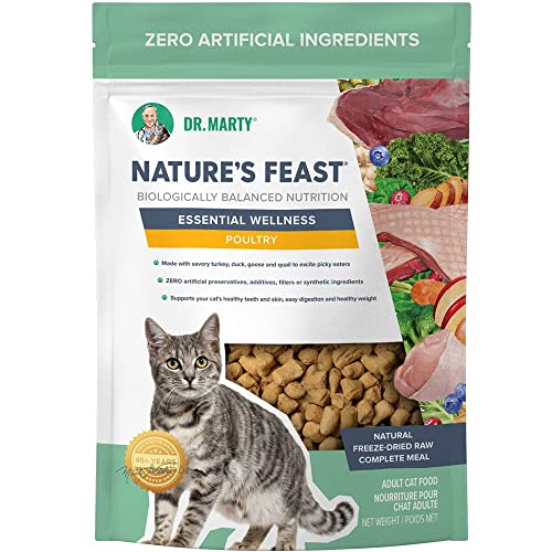 Dr. Marty Nature's Feast Essential Wellness Poultry Dry Cat Food 5.5 oz