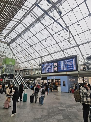 The crow that haunts the station