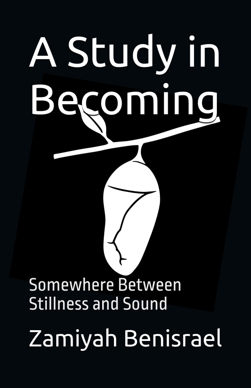 A Study in Becoming: Somewhere Between Stillness and Sound