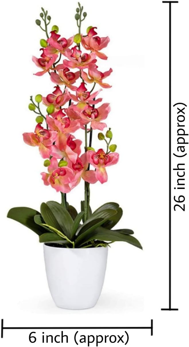 Serene Spaces Living Pink Orchid in White Ceramic Pot, Perfect for Weddings and Home Décor, Real Looking Plant for Decoration, Sold Individually, Measures 26" Tall X 6" Diameter
