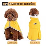 SlowTon Regenmantel Hund wasserdicht, durchsichtige doppellagige Regenjacke Hund mit Kapuze für kleine, mittlere und große Hunde, reflektierendem Streifen und Aufbewahrungstasche（M）
