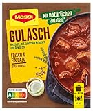 MAGGI Fix für Gulasch, Gulasch mit Tomaten und Paprika, 1er Pack (1 x 48g)