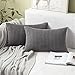 MIULEE Confezione da 2 Federa Granula per Cuscino Fodera Morbido Quadrato Decorativo per Divano Lettoin Misto Poliestere 30X50cm Grigio Scuro