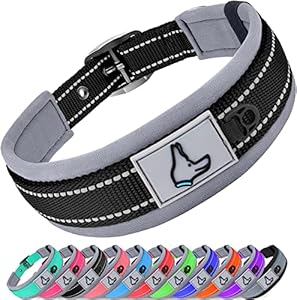 Joytale Collar Perro Grande, Resistente y Reflectante, Ajustable de Acolchado Neopreno Nylon, Negro, L