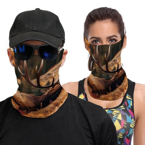 Neck Gaiter Wild Animals Face Mask for Travel Face Cover Scarf for Men Women Elastic Headbands Wind-proof Bandana for Skiing Fishing Hiking Cycling