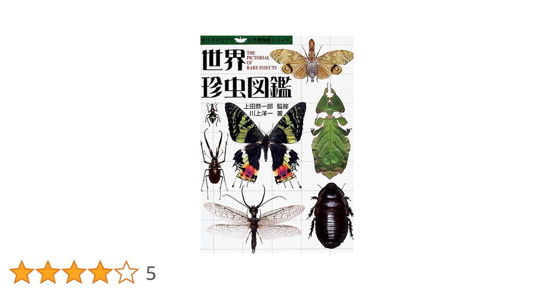 虫たちのすばらしいからだ (みつけた!しぜんのなかで) 虫たちのすばらしいからだ (みつけた!しぜんのなかで)