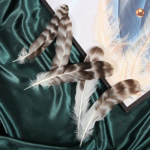Tharaht 24Pcs Natural Grey-Chinchilla Feathers Bulk 6-8Inch 15-20Cm For Diy Crafts Project Collection Wedding Decoration Reeded Chicken Feathers #TOP6