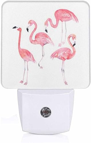 Chrobak LED Night Light,Watercolor Pink Flamingos LED Night Light Plug into Wall