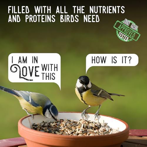 Ernst Grain & Livestock Wild Bird Food Select - Birdseed for Outside Feeders - Black Oil Sunflowers, Nyjer Seed & Other Non-GMO Grains - Ideal Bird Seed for Cardinals, Woodpeckers and More, 25 lb