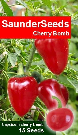 SaunderSeeds Cherry Bomb Chilli Seeds Capsicum Cherry Bomb hot Cherry Pepper
