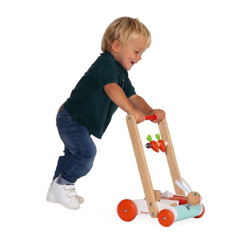 Janod - Carrello Janod Coniglio - Carrello Primi Passi in Legno a Spinta - Testa di Coniglio Su Molla, Carote Su Pallottoliere - con 19 Cubi di Legno - Giocattolo per Bambini da 1 Anno, J8251