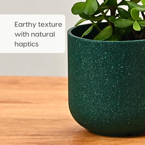 Image of Eha Earth-Friendly Terrapod Planters for Home Decor | 3.5 Inch, Pack of 6 | Small Plant Pot Made with Rice Husk Biocomposite | Flower Pot for Living Room | Fern