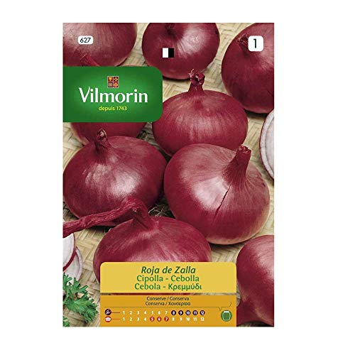 Semillas de Cebolla Roja de Zalla VILMORIN, 3gr