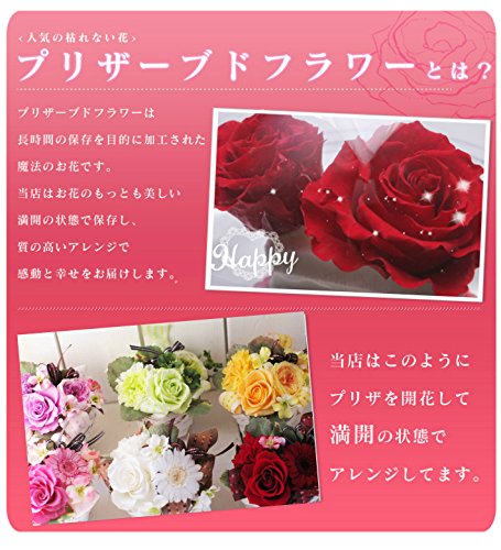 テディベア プリザーブドフラワー 赤いバラ ギフトセット Amazon｜プリザーブドフラワー 赤い花 送別 誕生日 ぬいぐるみ付き