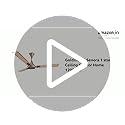 Image of Goldmedal Senora 1200 mm BEE Certified Star Rated Decorative Ceiling Fan | Anti Dust| High Air Delivery| High RPM | 2 years Warranty (Midas Gold)