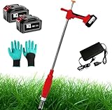Zocxielr Electric Weed Puller, 21V Cordless Stand-Up Root Remover with 2 x Batteries & Fast Charger, Long Handle Garden Weeding Tool