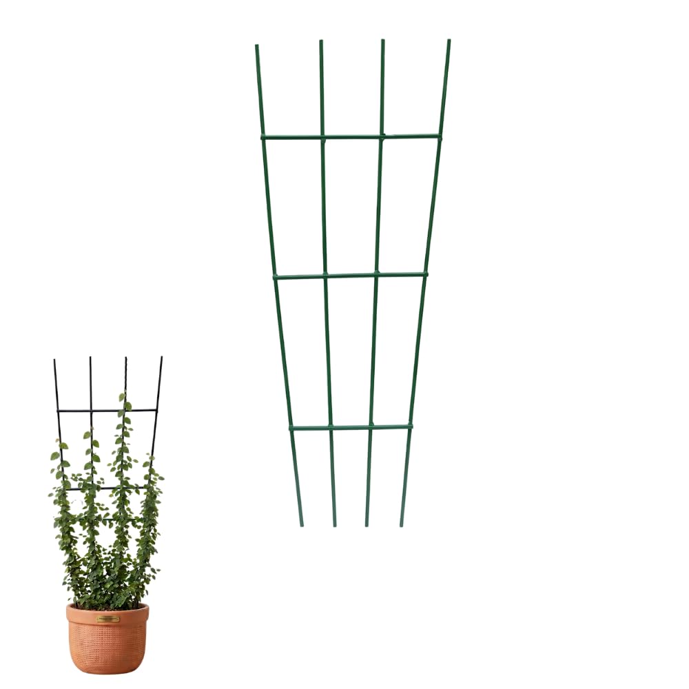 24 Inch Straight Plant Trellis for Climbing Plants, Heavy Duty Metal Plant Support Stake, Rust Resistant Garden Trellis for Pots, Vines, Ivy, Creepers & Flower Plants-image-36