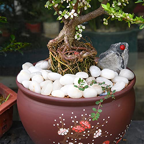Hisredsun 1,8 kg Dekosteine Flusskiesel für Aquarium, Blumentopf, Landschaftsbau, Vasenfüller und Gartendekoration
