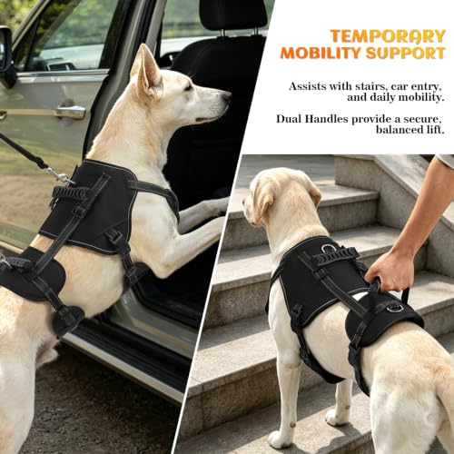Image of NOYAL Dog Lift Harness, 2-in-1 Support Sling for Senior & Injured Dogs