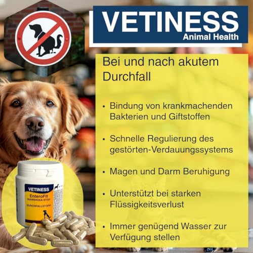 vetiness EnteroFit Durchfallstopp für Hunde und Katzen 100x Kapseln | bei akutem Durchfall | Natürliche Durchfallhilfe | Stärkt Darmflora Hund Durchfall Hund | für empfindliche Tiere