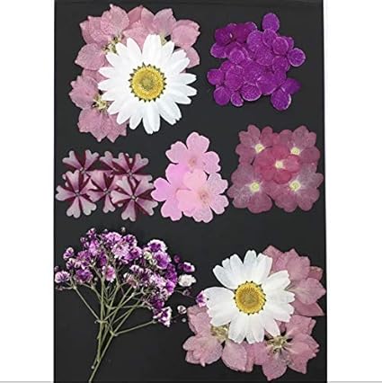 クラシック 押し花素材 ミックス ホワイト ピンク ユキヤナギ 素材 材料 Lnwkdnfhbaru