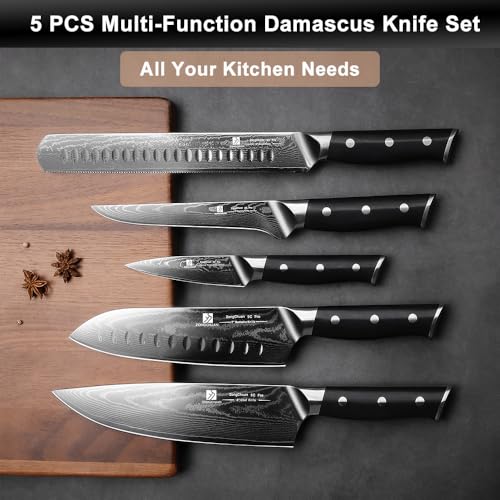 5-Piece Damascus Chef Knife Set: High Carbon Stainless Steel, Professional Ultra Sharp Kitchen Knife Set with Ergonomic Black Handle - Chef/Santoku/Paring/Bread/Brisket/Boning Knives in Gift Box - Image 4