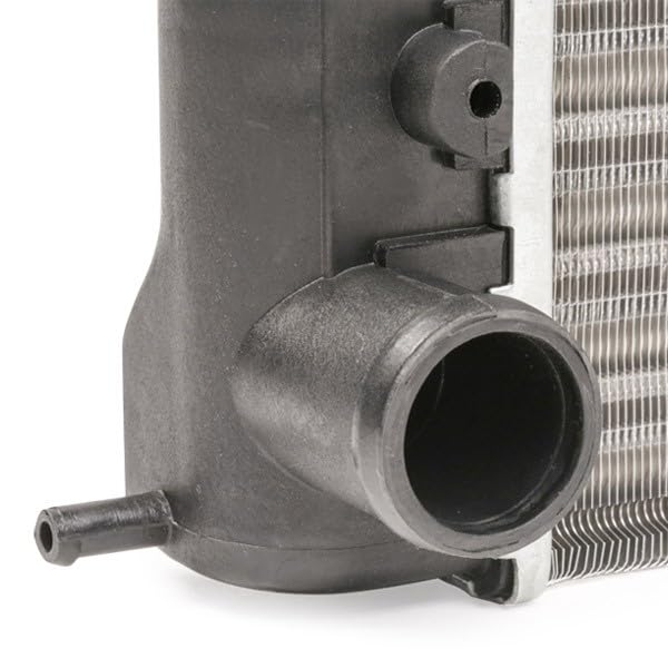 RIDEX Radiatore Motore 470R0145 - Alta Qualà E Prezzi
