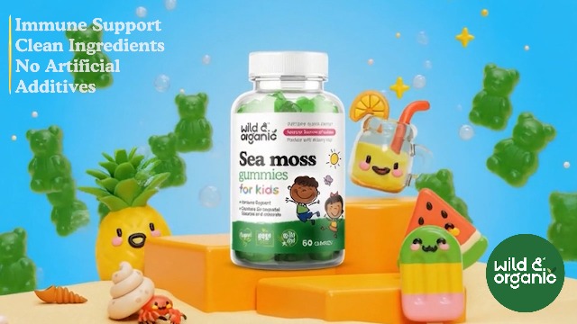 Amazon.com: Wild & Organic Irish Sea Moss Gummies for Kids 800mg