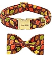 Unique style paws Dog Collar with Bow Tie & Flower Tie Girls Boys Summer Dog Collar for Small Med...