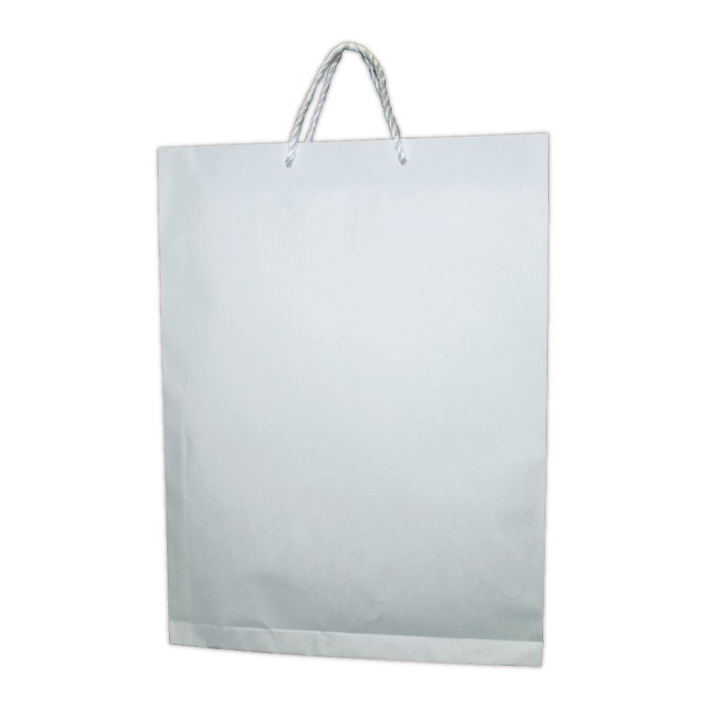 Amazon | 菅公工業 額縁入れバッグ A3 白 10枚 べ584 | ギフトバッグ