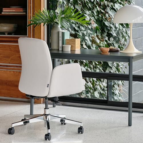 branch softside chair