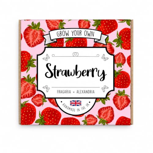Image of Grow Your Own Strawberry Kit - Complete Beginner Starter Kit | Easy Instructions | Made in UK | Perfect Gardening Gift for Any Occasion | Wimbledon Gift | Kids' Plant