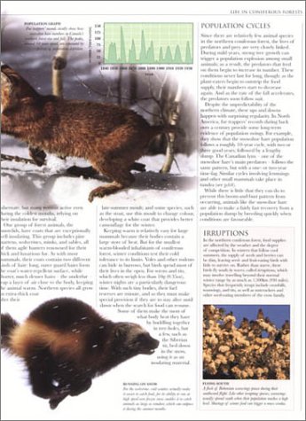 Animal: The Definitive Visual Guide to the World's Wildlife - Image 3