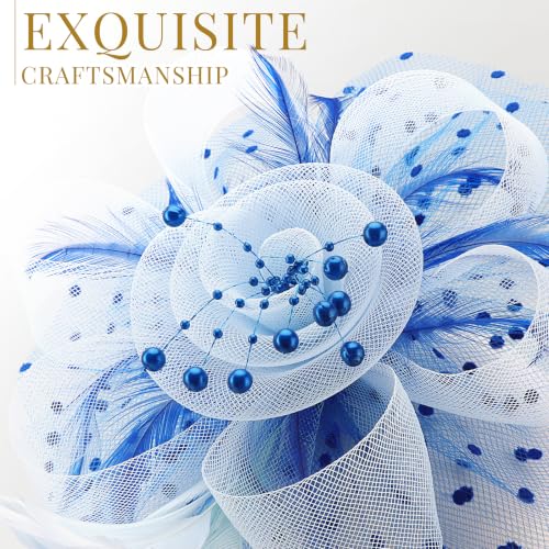 Image of DRESHOW Fascinators Hat Flower Mesh Ribbons Feathers on a Headband and a Clip Tea Party Headwear for Girls and Women
