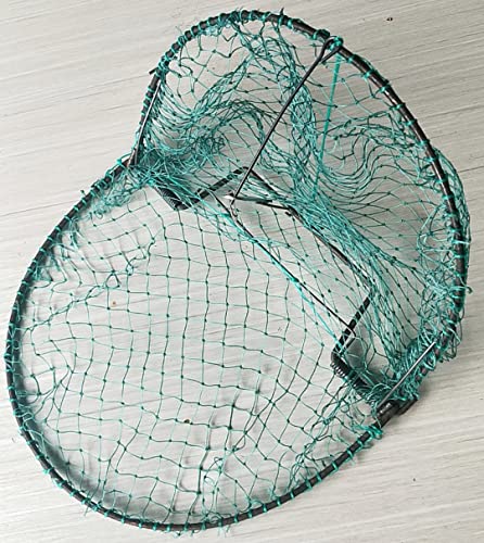 Alemon 12“ Bird, Pigeon, Quail Humane Live Trap Hunting Bird Trap, With Trap Installation Instruction( 2022 New Version) #TOP11