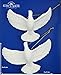 Kurt Adler Resin Friendship Dove Ornament (Set of 2), 4.5