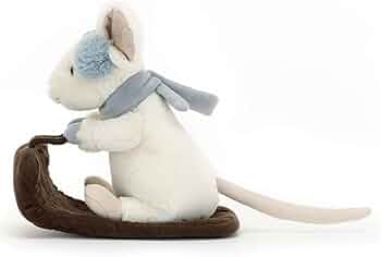 51PVcNz--oL._AC_UF350,