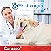 Curaseb Medicated Shampoo for Dog & Cats - Treats Skin Infections & Hot Spots - Chlorhexidine & Ketoconazole – Veterinary Strength
