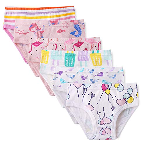 Little Girls' Soft Cotton 6-Pack Underwear bring Cool, breathable comfort experience2T-8T panty. (Assorted D, 6-7Years)