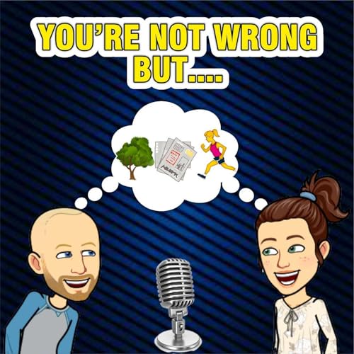 You're Not Wrong But... cover art